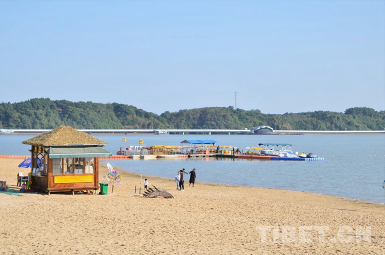 【斑斓中国•收集媒体生态文明行】一片“柳叶”化作绿色聚宝盆