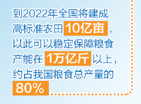 10亿亩！国度又放年夜招了！