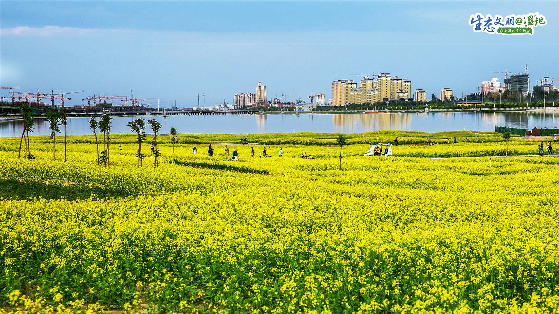 【生态文明@湿地】甘肃湿地绘图画