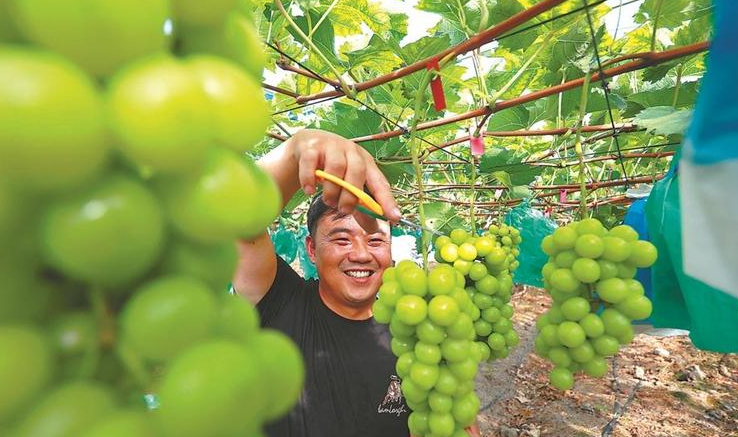 莆田仙游税务：赓续红色血脉 勇担时代使命