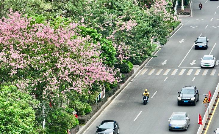 536名街舞高手齐聚海沧 厦门DTU街舞精英邀请赛举办