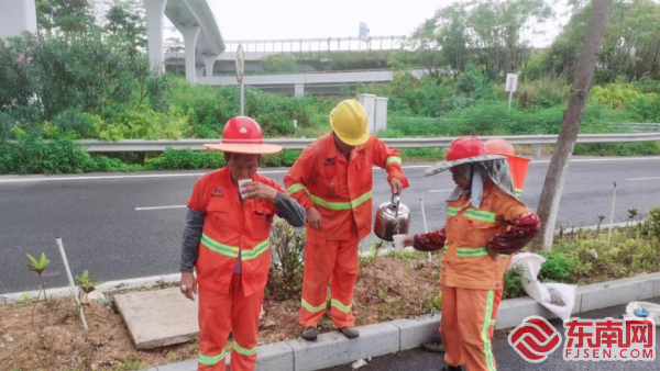 厦门海沧公路部门开展高温慰问活动 为一线养护工人送关怀
