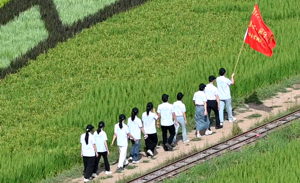 大学生暑期社会实践：感受改革发展成果 发挥专业特长贡献青春力量