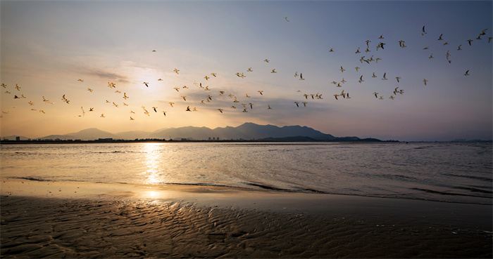 湿地飞羽+2016.7+闽江河口湿地+陈云+13809555101.jpg