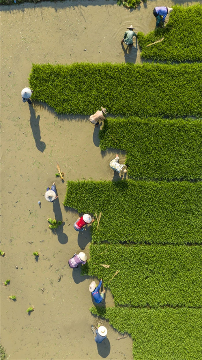 《步步高）摄于南平市建阳区 吴大灼18159900185.jpg