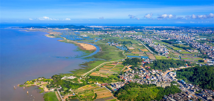 飞阅湿地+2021.7+《闽江河口湿地》++陈云+13809555101.jpg