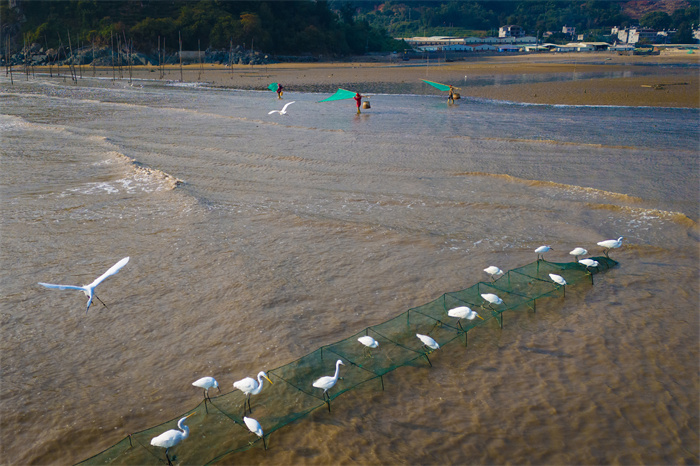 7、20240531拍摄于福建霞浦《海上渔人曲》王玲珠13506962223.jpg