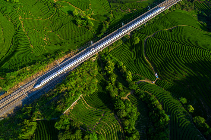 281.《合福高铁经过闽北岩茶产区》，陈琦辉摄，13860060015.jpg