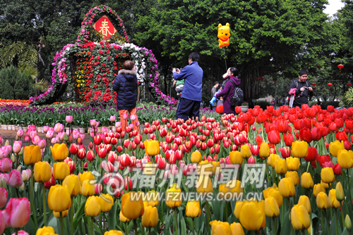 精品迎春花展亮相西湖