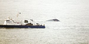 媒体称天安舰爆炸沉没系韩海军史上最大惨案