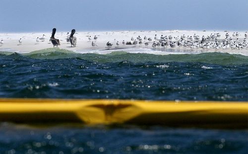 墨西哥湾水下油田泄漏或将对陆地造成永久损害