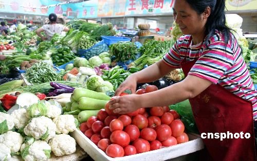 菜价持续高位运行 预计后期止涨回落