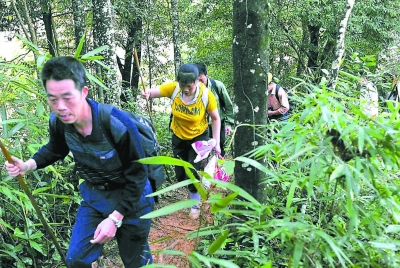 洋口镇人口_7月7号洋口镇甜港村14组人员伤亡事故是因 龙卷风袭击 吗(2)