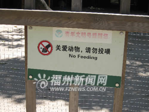 动物园部分游客行为不文明 乱扔垃圾戏弄动物
