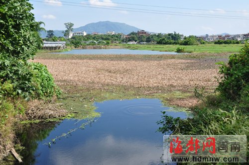 龙海九湖人口_龙海九湖镇行政村地图(2)