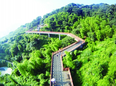 莲花山栈道