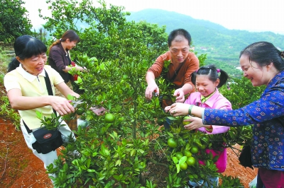 1日至3日 福州龙台山生态园日接待游客2500多