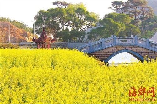 莆田坪人口_莆田坪盘旅游景区