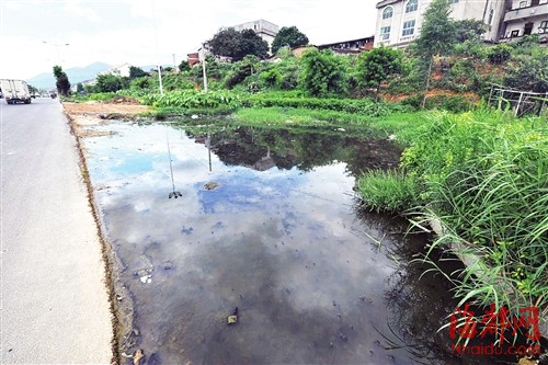 漳浦县城人口_漳浦强降雨致多处内涝严重 各方紧急救援(3)