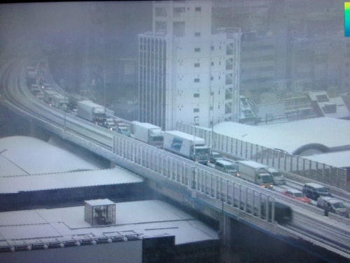 日本东京首都圈因暴风雪交通大乱列车停驶（图）