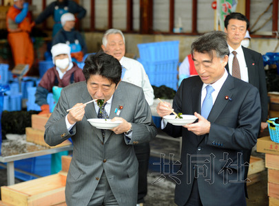 安倍再赴地震灾区视察吃当地特产称有利于健康