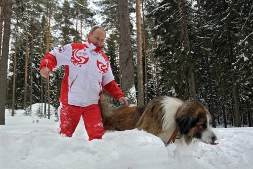 普京带着宠物犬在雪地里散步。