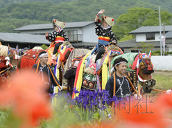 日本岩手县举行传统活动“叮铃叮铃赶马会”（图）