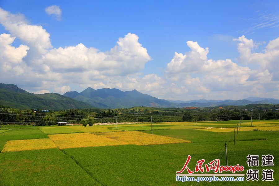 动车在青山绿水间畅游，穿过一个山头，越过一座桥梁，驶过一片平原之后总能给人带来惊喜。 邹家骅摄