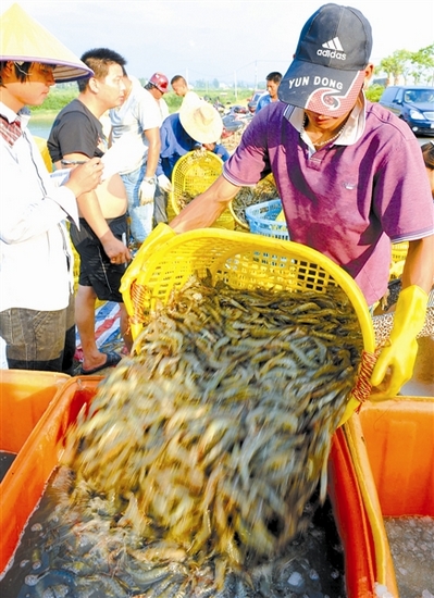 钦州：北部湾新兴海湾城市