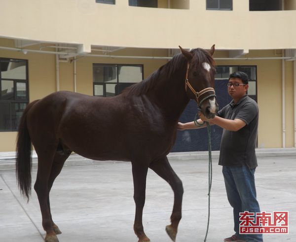 厦门灵玲国际马戏城迎来第三批动物明星