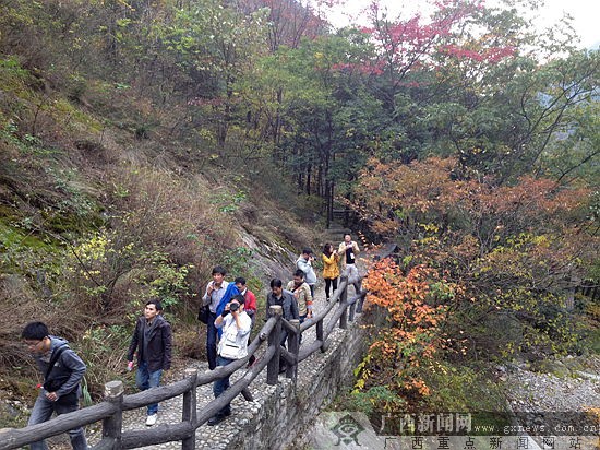 湖北罗田旅游兴县 大别山美景让记者流连忘返