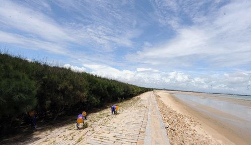 小岞惠女林场:海峡西岸林场中的璀璨明珠