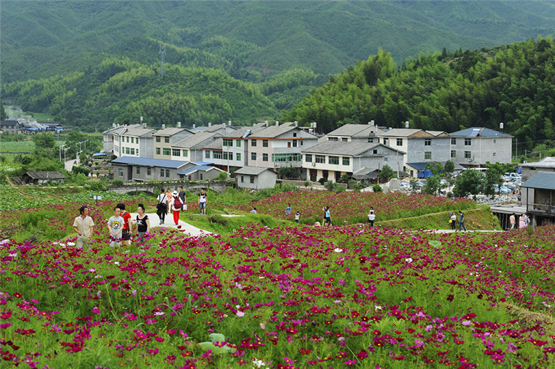 横县峦城养贤村委有多少人口_横县峦城图片(3)