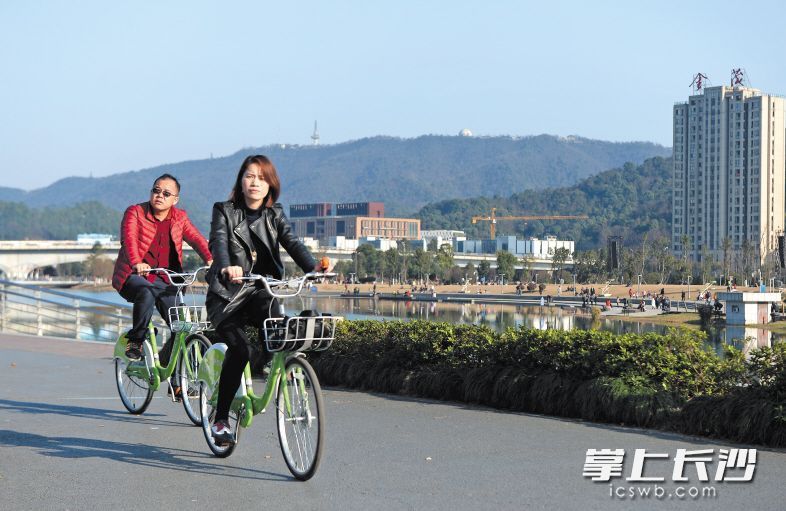 梅溪湖畔，市民们骑着共享单车赏景。长沙晚报记者 邹麟 摄