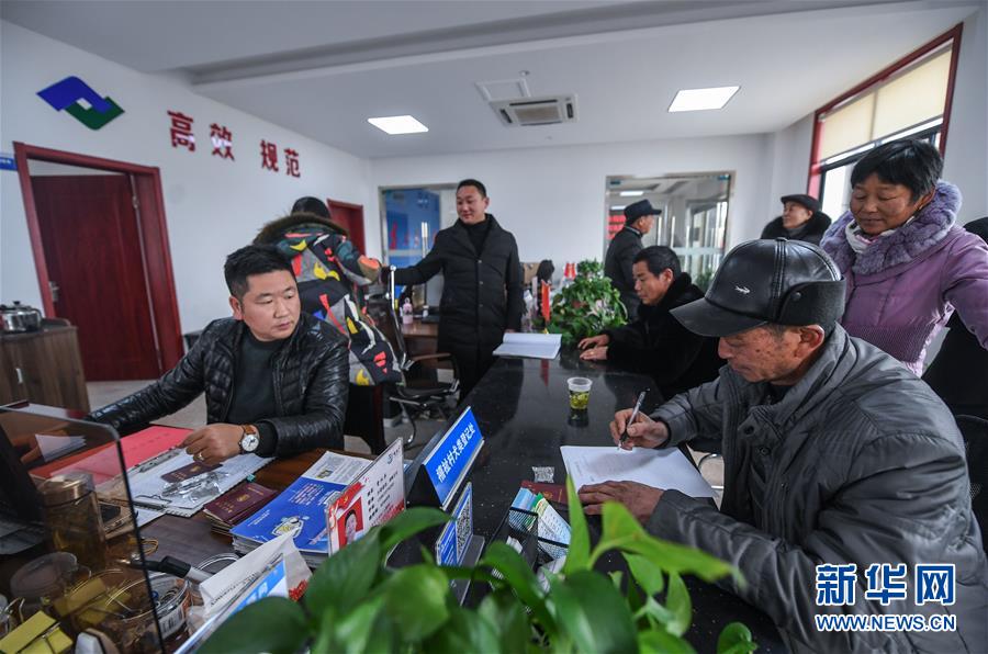 （社会）（3）浙江长兴：乡镇便民服务假日“不打烊”