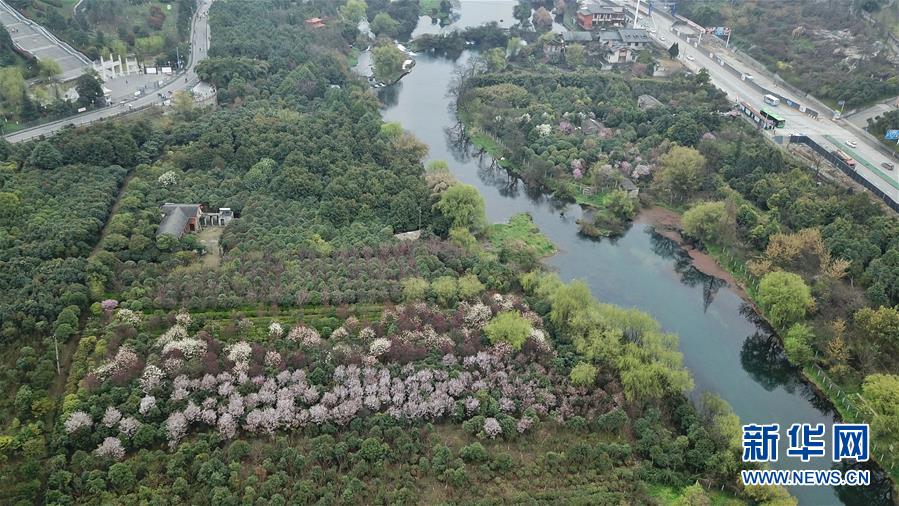 （春季美丽生态）（4）春季湿地景致如画