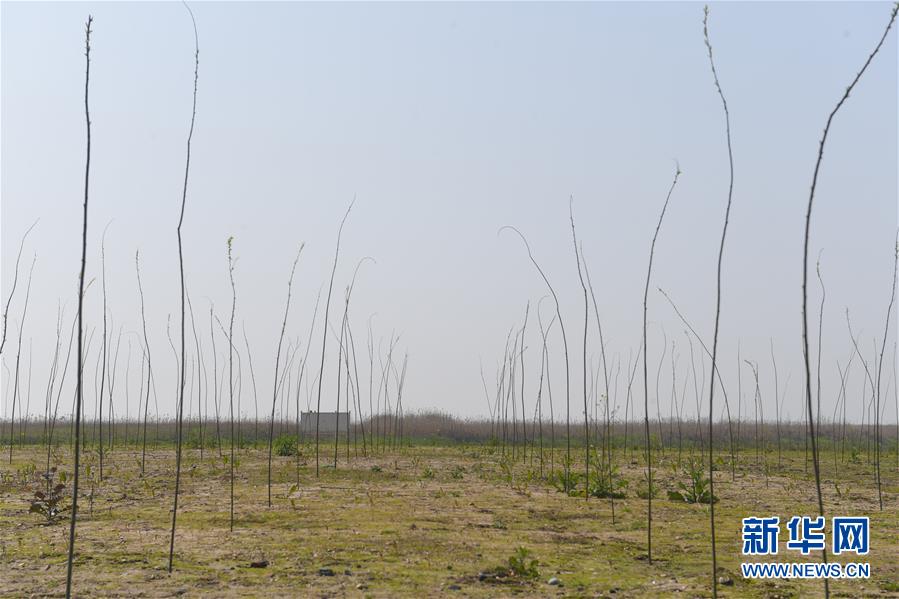 （图文互动）（1）湖南开展“洞庭风雷”专项行动 守护河湖安澜