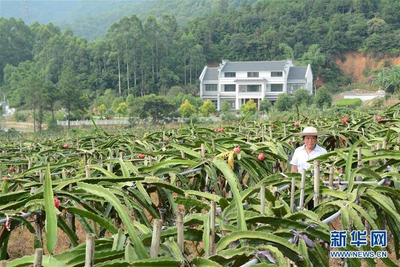 （在习近平新时代中国特色社会主义思想指引下——新时代新作为新篇章·总书记关心的百姓身边事·图文互动）（6）大污染变身“大宝藏”：治理畜禽粪污，他们这样干！