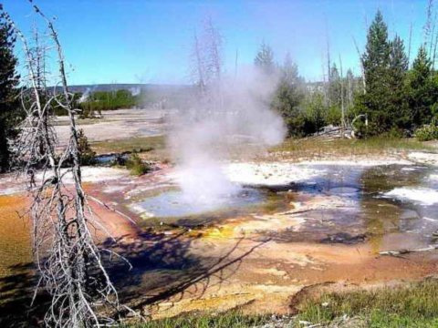 大胆人类火山口“凑热闹”求婚品酒赏美景（图）（5）