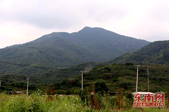 诏安县人口有多少_漳州5000余人受灾 指路哥站水中喊话让市民绕道