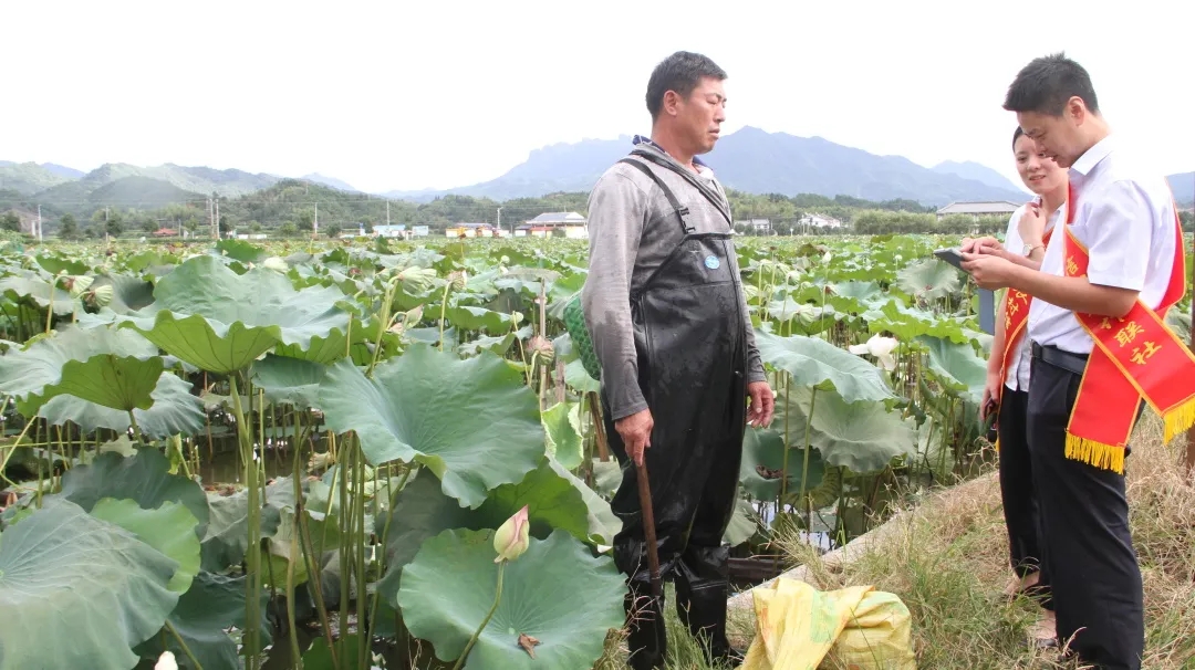 建宁联社金融助理为莲农提供金融服务.webp.jpg