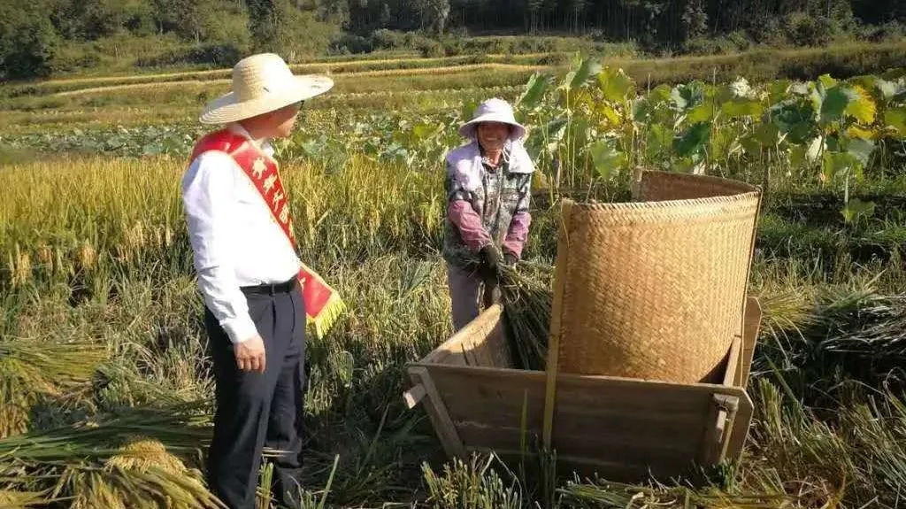 建宁联社金融助理深入制种基地调研.webp.jpg