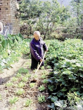 残疾老人多年以膝代步 独自照顾残疾妻抚养孩子