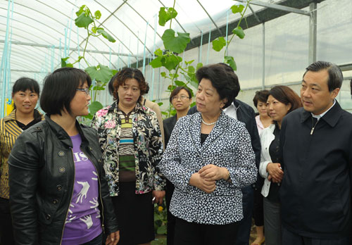 陈至立与扬州沙头镇广陵现代农业产业园巾帼高效农业示范基地的负责人