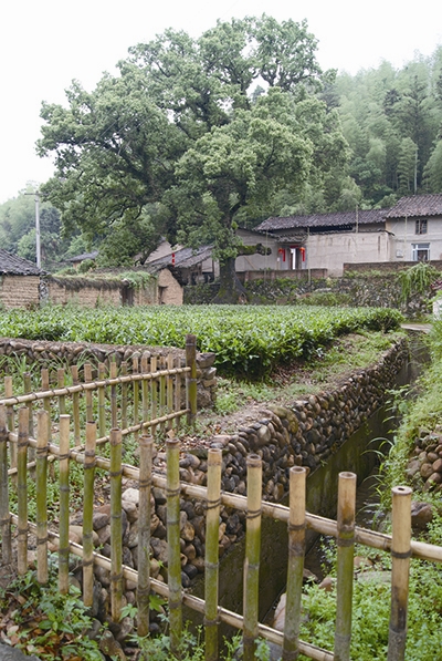 妇联要闻 正文 石圳自然村位于福建省南平市政和县石屯镇松源村