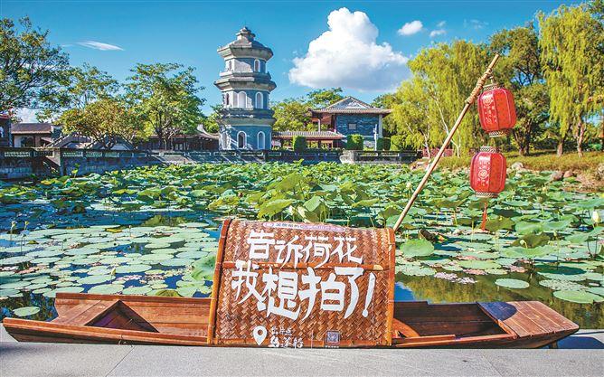 赏花观鸟泡温泉 慢游厦门给你松弛感