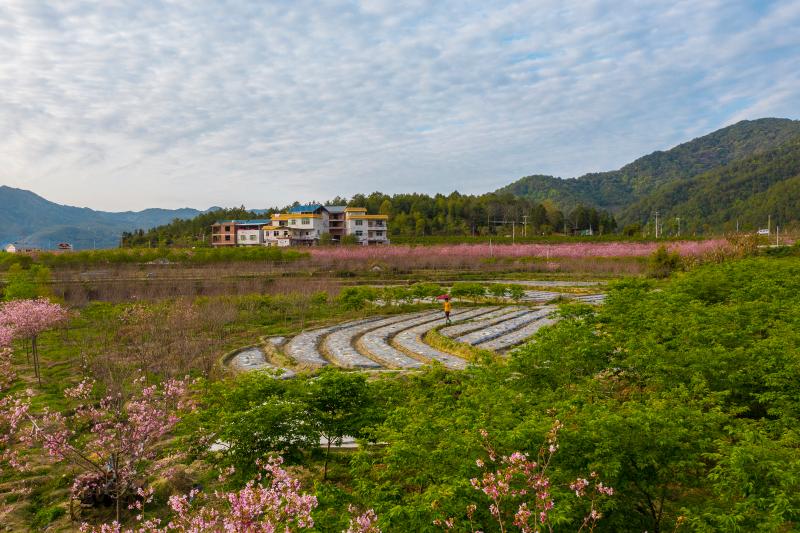 武平县城厢镇生态新农村建设