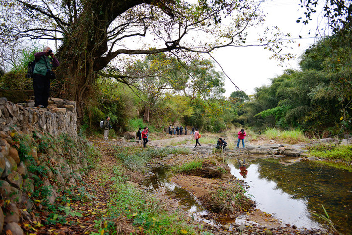 永泰月洲村:品味月洲人文歷史 探尋月洲山水風光