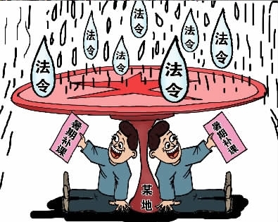 令行禁不止(图)